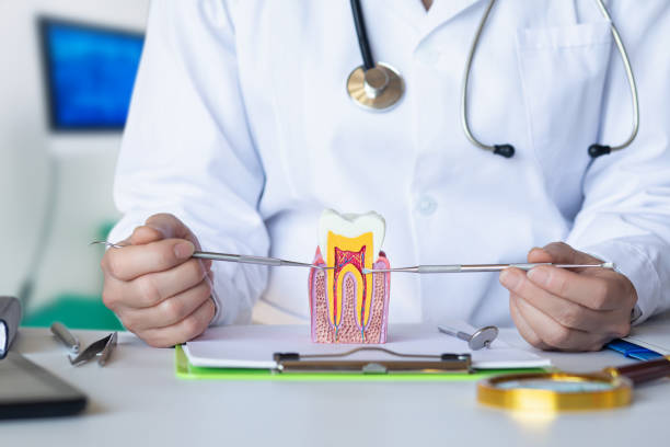 Best Root Canal Emergency Dentist  in Fairwood, WA